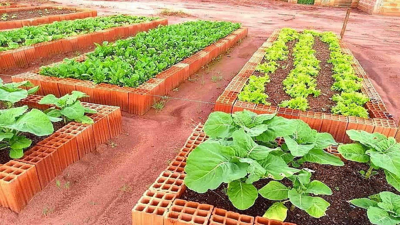 Como a borra de café pode ajudar no cultivo de jardins e hortas