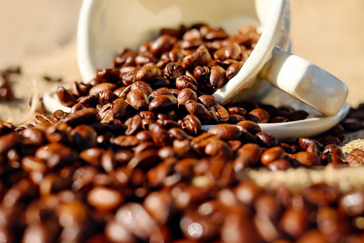 Venda de Café 100% arábica grãos selecionados